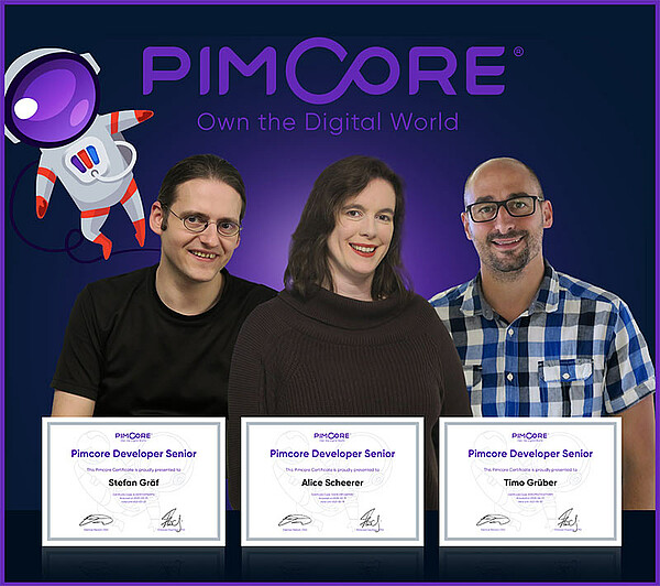 Pimcore Developer Senior