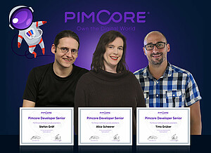 Pimcore Developer Senior