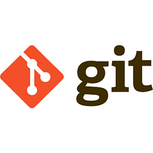 Git – Schulung in Mannheim